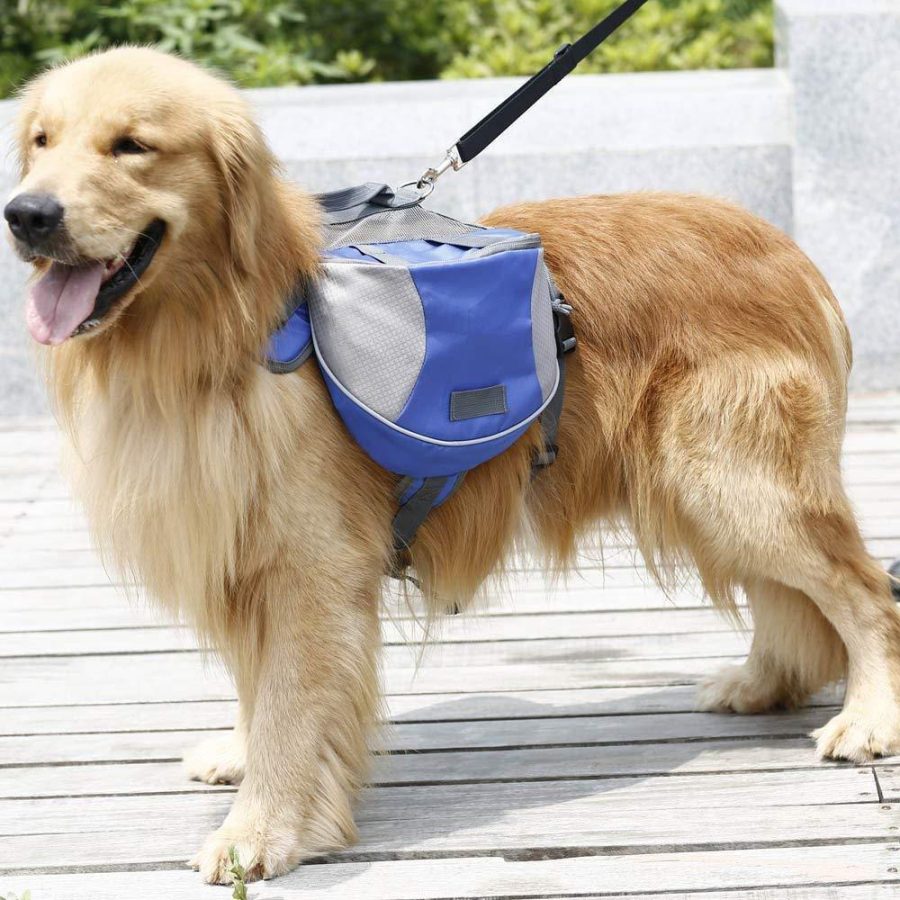 Hiking Backpack for Dogs