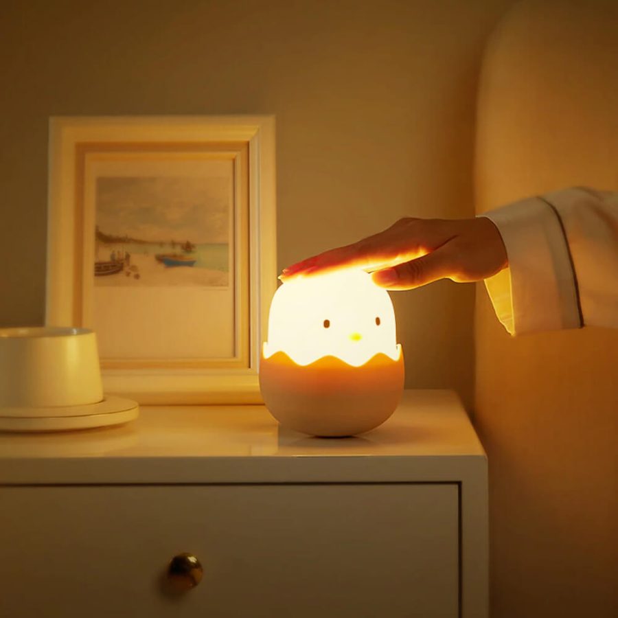 LED Egg Light