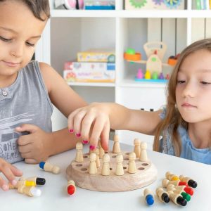 Memory Match Stick Chess Game