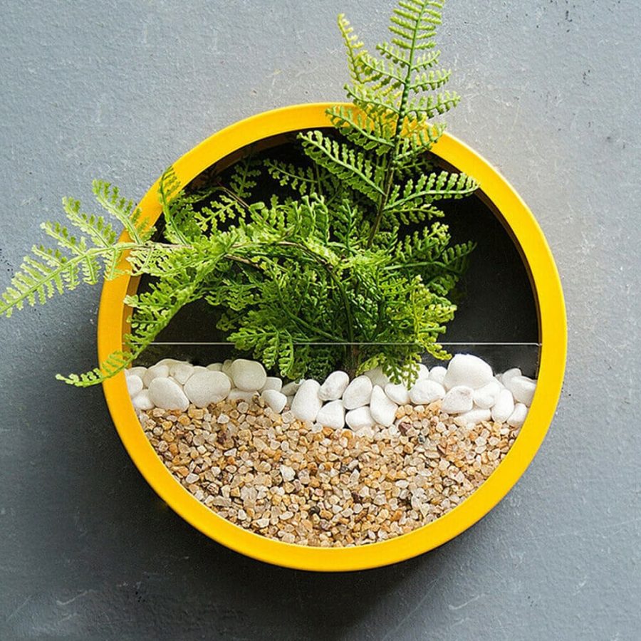 Orbicular Wall Plant Vase