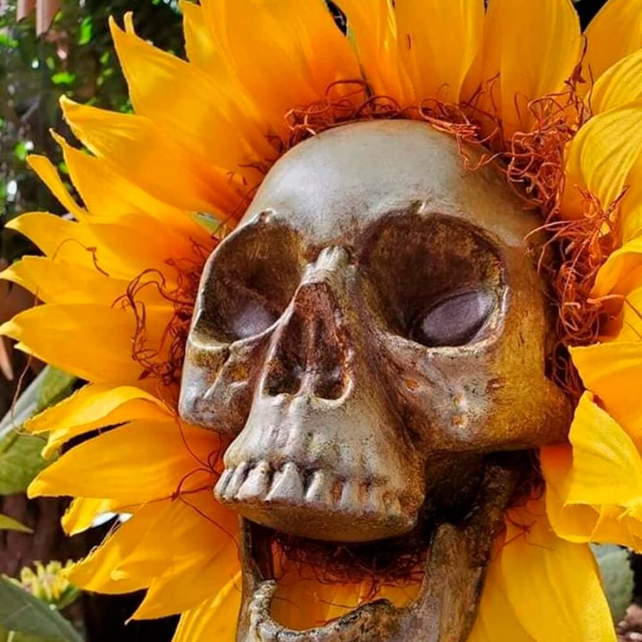 Skull Sunflower