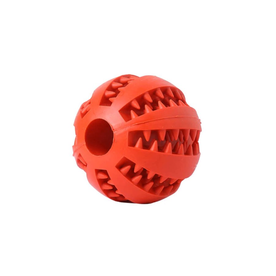 Toothy Dog Chew Toy