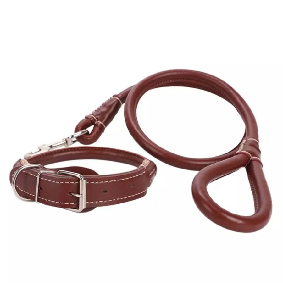 2-in-1 Rolled PU Leather Dog Collar & Leash