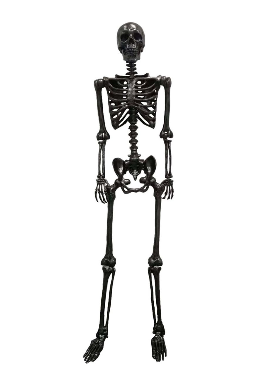 24 Inch Gun Metal Skeleton