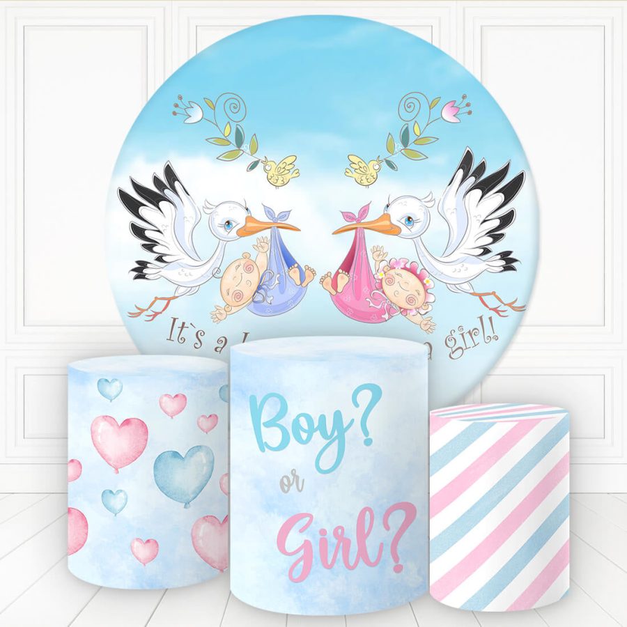 Aperturee Birds Swaddle Gender Reveal Round Backdrop Kit For Baby Shower | Round Party Backdrop | Baby Shower Round Backdrop | Custom Round Backdrop