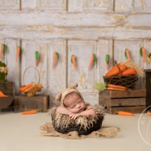 Aperturee Carrot Newborn Easter Spring Vintage Rustic Photography Backdrop