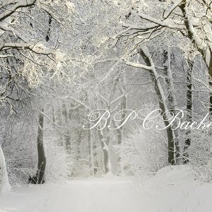 Aperturee Christmas Winter Snow Snowy Forest Photography Backdrop