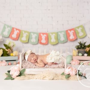 Aperturee Easter Pastels Spring Bunnies Newborn Portrait Backdrop