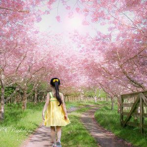 Aperturee Farm Blooming Tree Garden Flowers Spring Portrait Backdrop