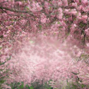 Aperturee Flower Spring Wedding Bridal Photography Backdrop