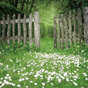 Aperturee Flowers Forest Spring Summer Backdrop For Portrait