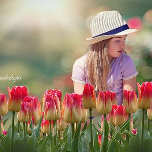 Aperturee Flowers Tulips Spring Summer Photography Backdrop