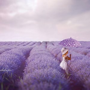 Aperturee Lavender Field Spring Photography Backdrop For Portrait