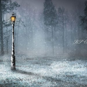 Aperturee Light Snow Forest Winter Wonderland Backdrop For Photography