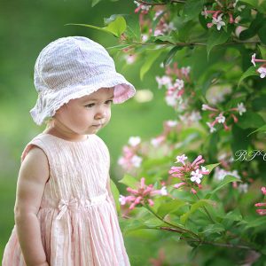 Aperturee Pink Flower Blooming Tree Spring Portrait Backdrop