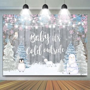 Aperturee Ship In 24HR Baby Its Cold Outside Winter Gender Reveal Backdrop