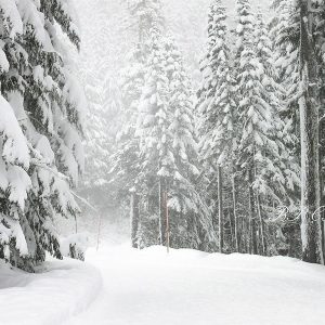 Aperturee Snow Winter Wonderland Portrait Backdrop For Holiday