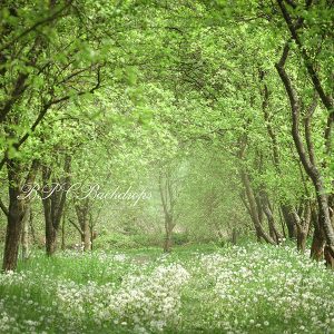 Aperturee Spring Summer Flowers Forest Backdrop For Photo Booth