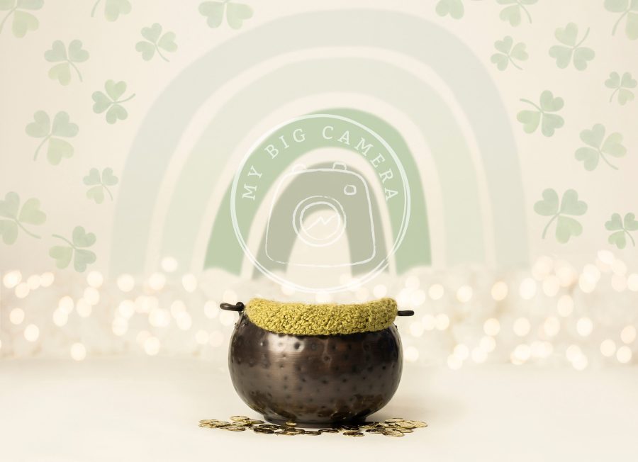 Aperturee St Patricks Day Boho Rainbow Gold Newborn Photography Backdrop