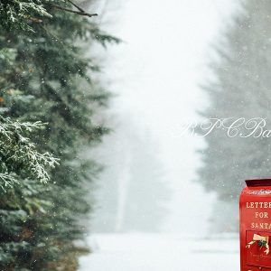 Aperturee Winter Snowy forest Santa Mailbox Photography backdrop