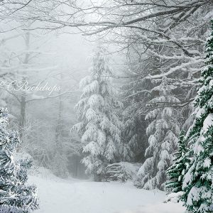 Aperturee Winter Wonderland Fir Tree Backdrop For Portrait