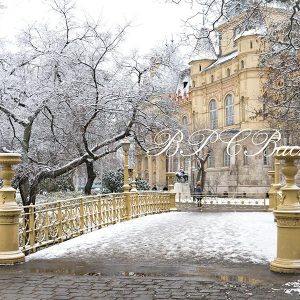 Aperturee Winter Wonderland Snow Nature Chirstmas Backdrop