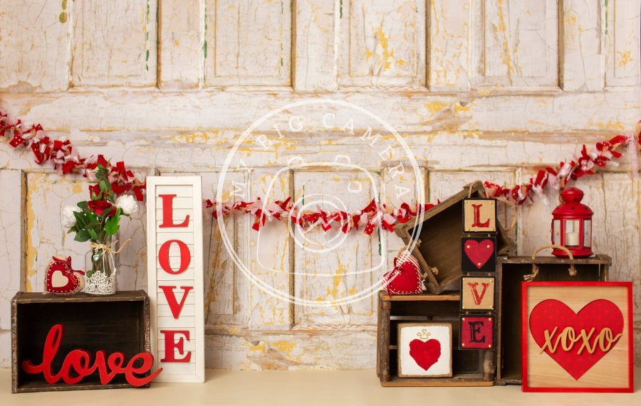 Aperturee Wooden Mini Sessions Photography Valentines Day Backdrop