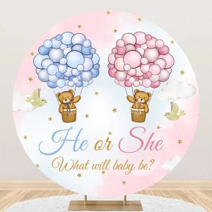 Bear Hot Balloon Sky Round Gender Reveal Backdrop - Aperturee