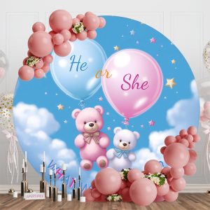 Blue Sky Teddy Bear Round Gender Reveal Backdrop - Aperturee