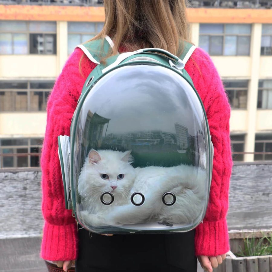 Cute Clear Cat Backpack Carrier