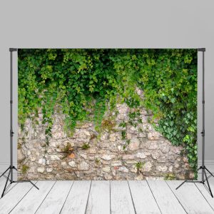 Green Plants Stones Wall Scene Spring Photo Backdrop - Aperturee