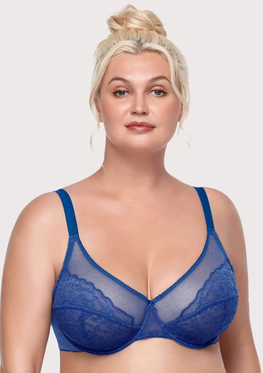 HSIA Enchante Full Coverage Bra: Supportive Bra for Big Busts - Royal Blue / 32 / C