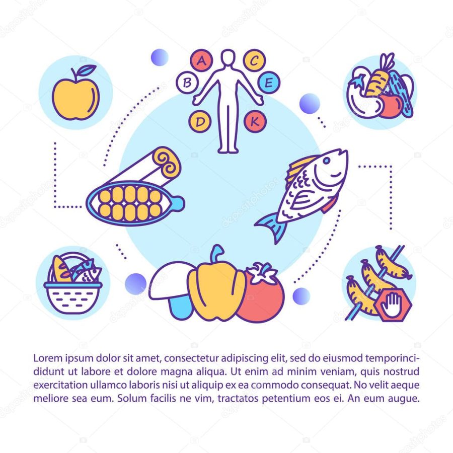 Healthy nutrition concept icon with text. Balanced diet. Eating habits. Vegetarianism. PPT page vector template. Brochure, magazine, booklet design element with linear illustrations