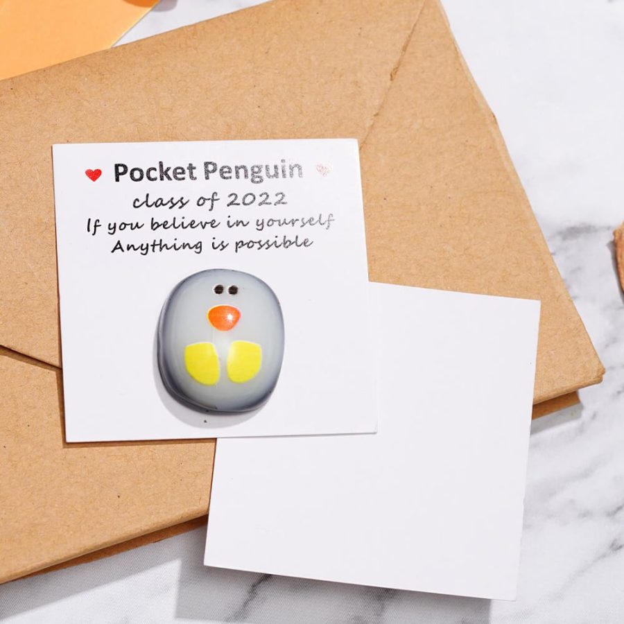 Mini Pocket Penguin Care-Bringing Hug
