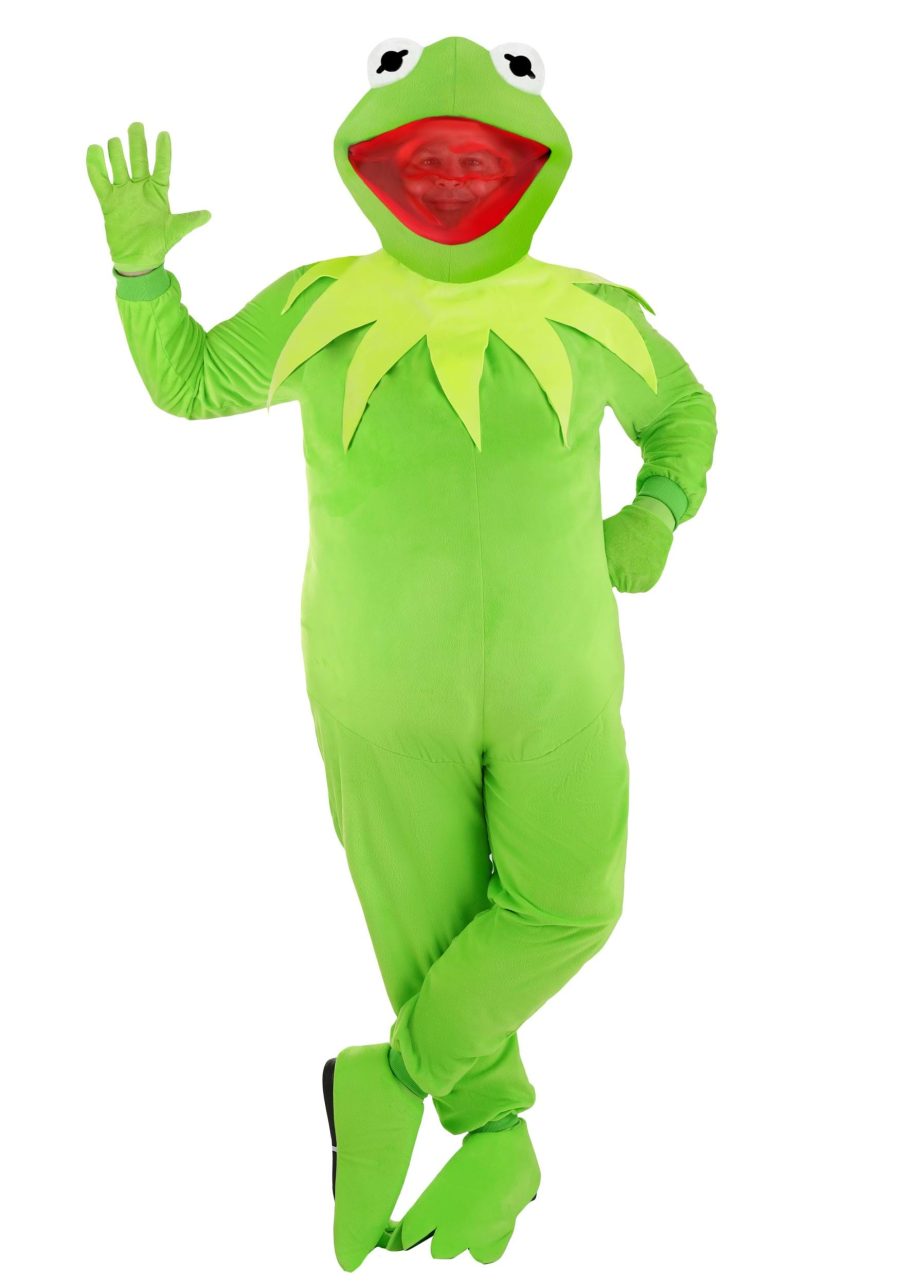 Plus Size Disney Kermit the Frog Costume