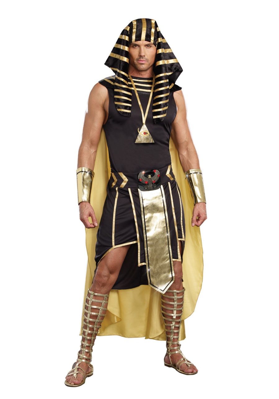 Plus Size King of Egypt Costume For Adults