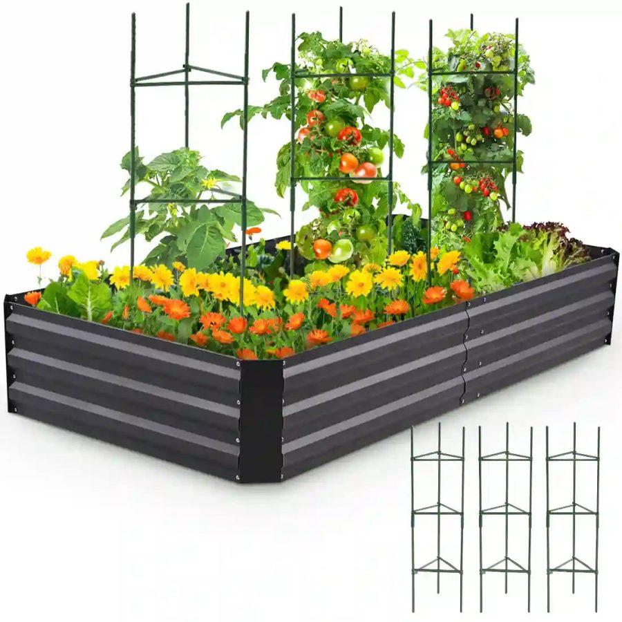 Raised Garden Bed - 6x3x1ft