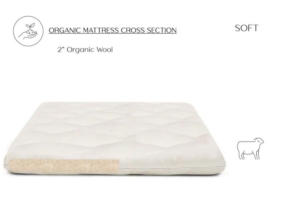 Teddy Organic Wool Mattress Topper - Soft 2 Inch Chemical Free Pure Wool Mattress Topper - The Futon Shop