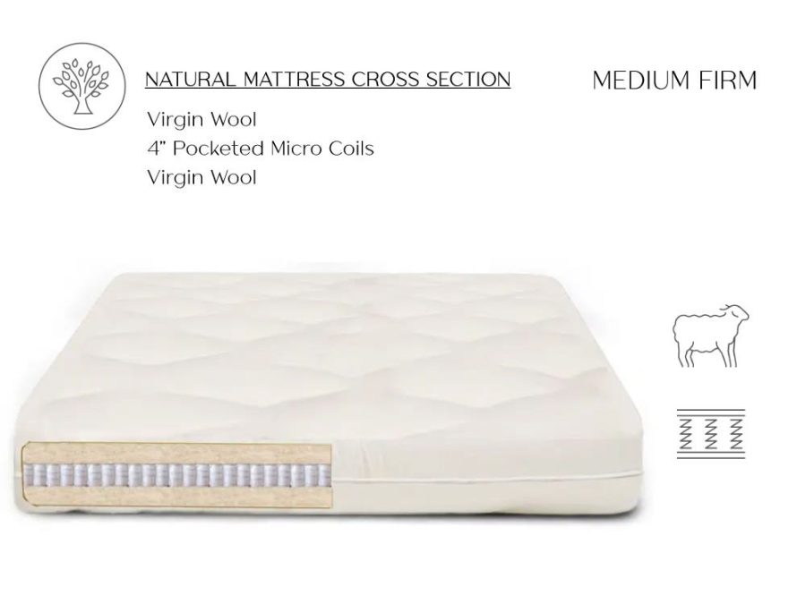 Twin Loveseat Wool Futon Couch Bed Mattress Firm Organic Cotton Case