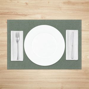 Vintage Light Green Simple Dinner Set Of 4 Placemats - Aperturee