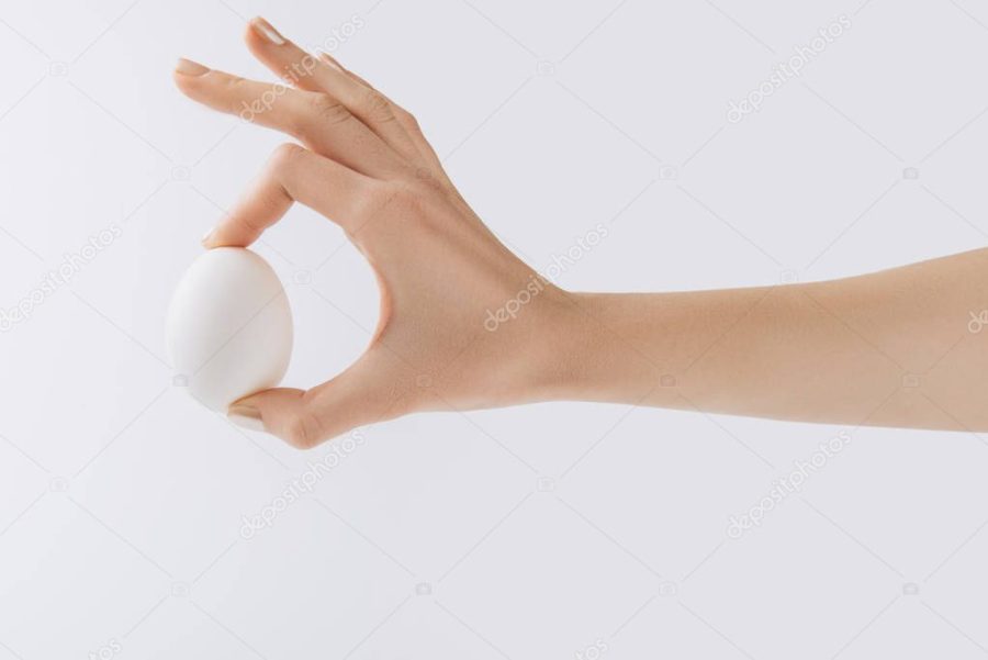 cropped image of hand holding egg on white background