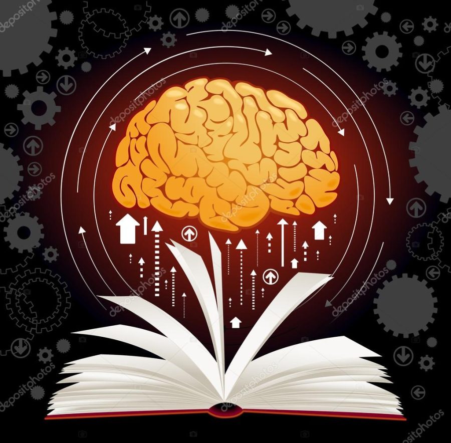 Brain book