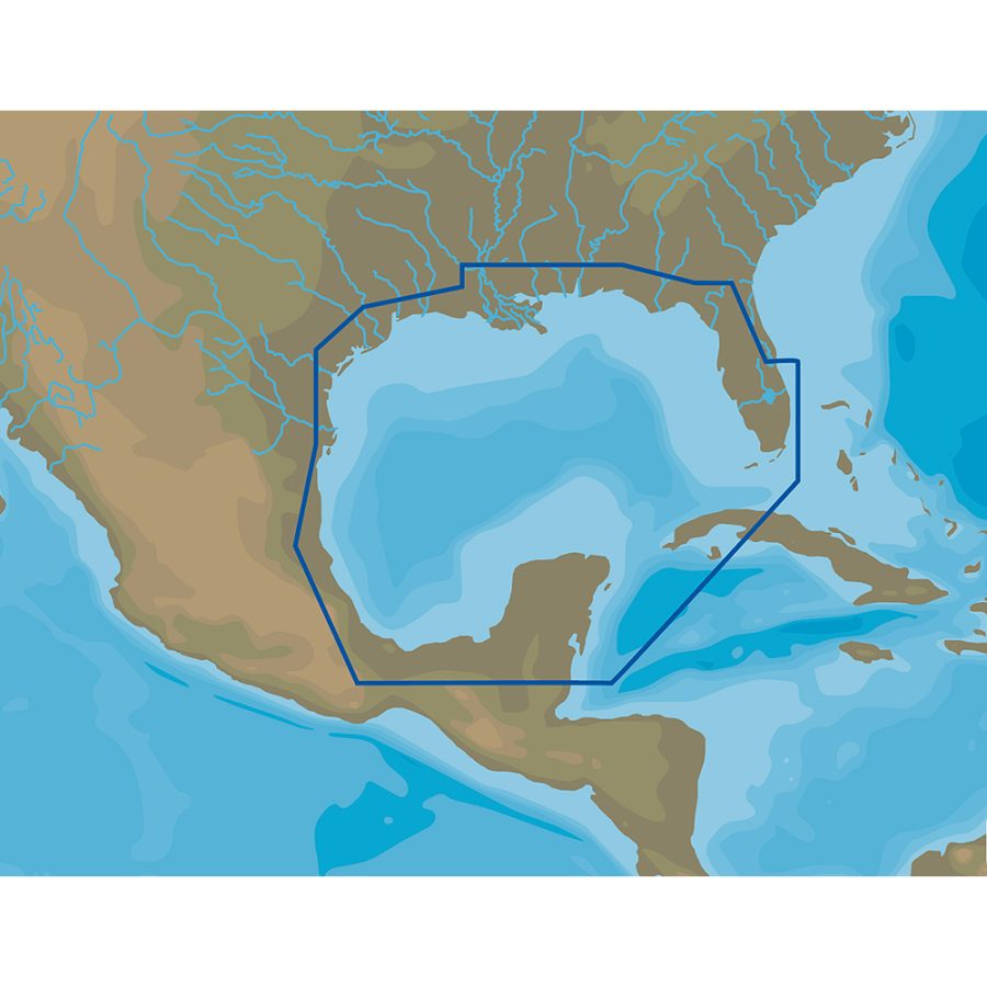 C-MAP NA-D064 4D GULF OF MEXICO - MICROSD/SD