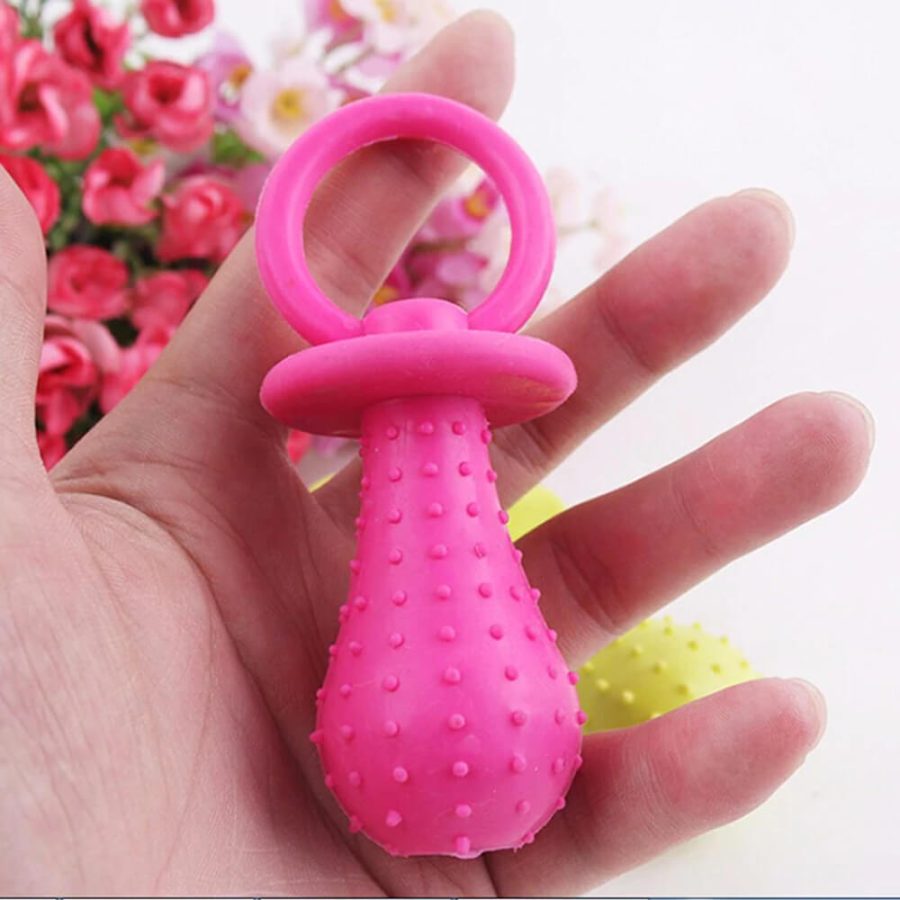 Dog Pacifier Chew Toy
