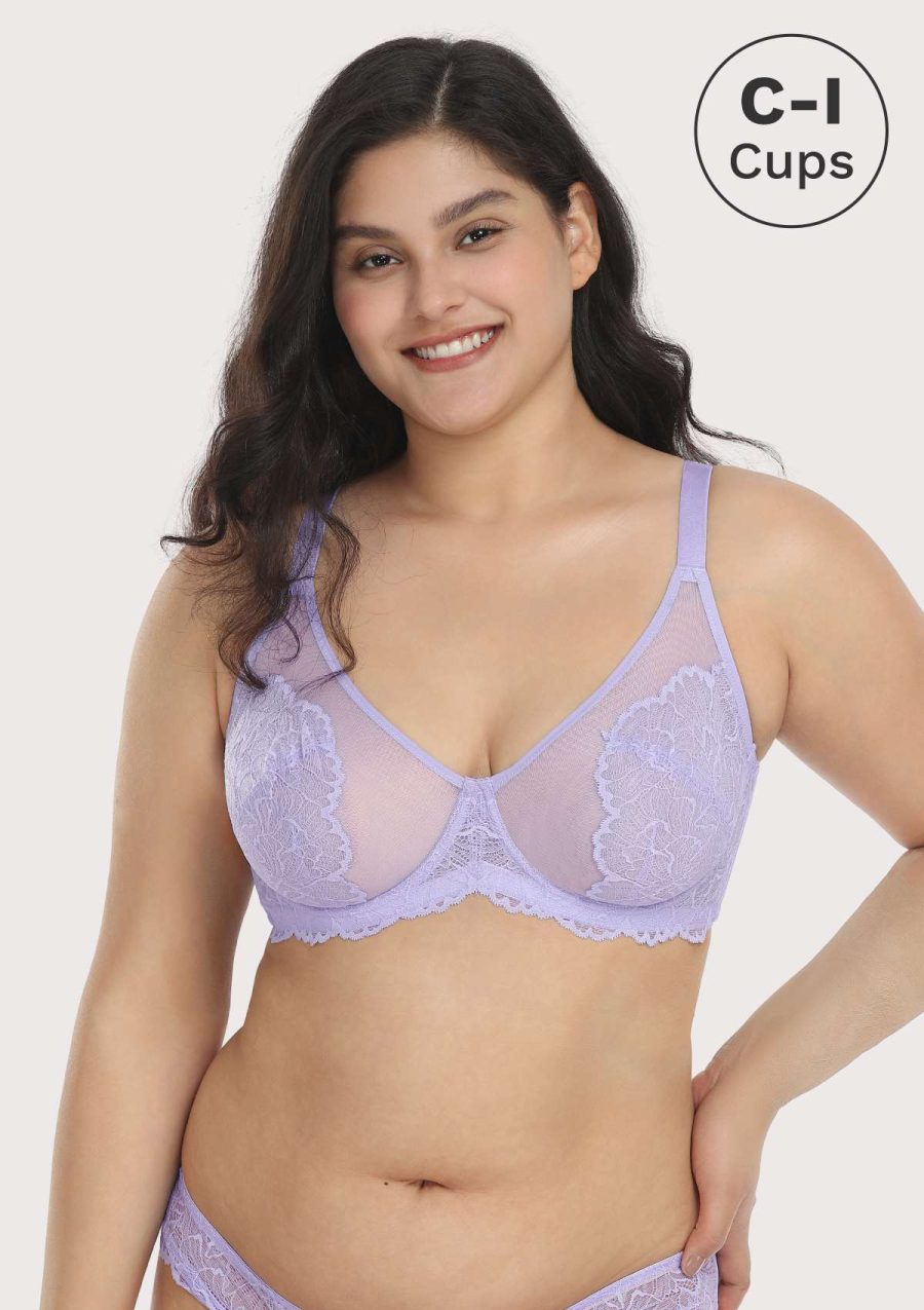 HSIA Blossom Transparent Lace Bra: Plus Size Wired Back Smoothing Bra - Light Purple / 34 / DDD/F