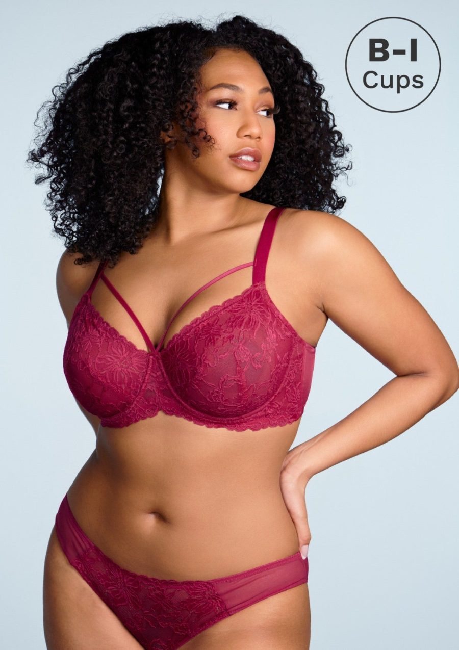 HSIA Pretty In Petals Sexy Lace Bra: Full Coverage Back Smoothing Bra - Red / 46 / DDD/F