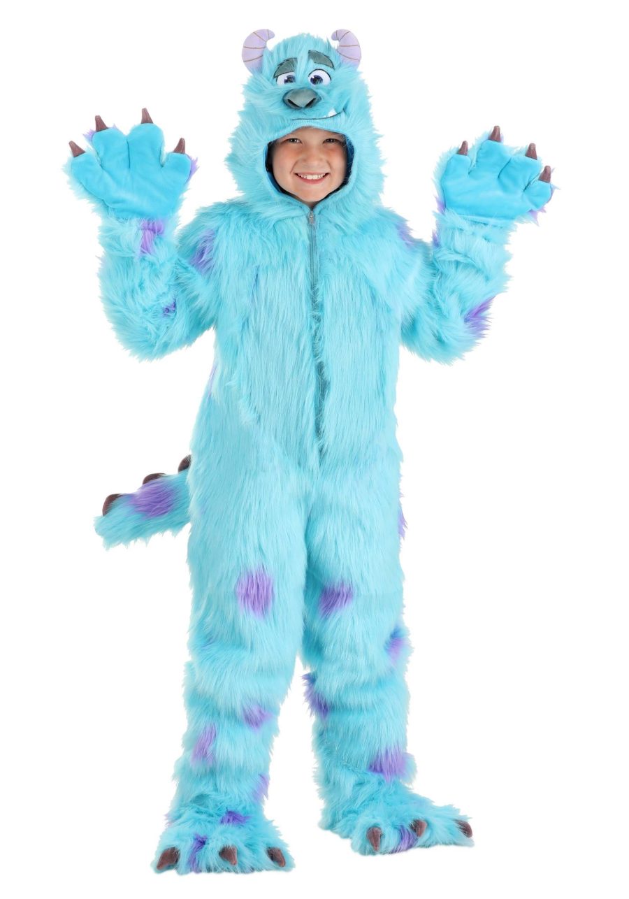 Hooded Monsters Inc Sulley Costume for Kids