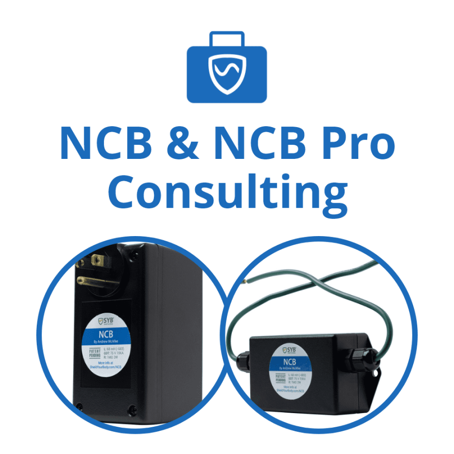 SYB NCB Pro Consulting