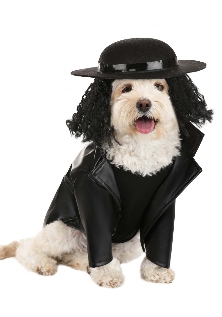 The Undertaker Pet Dog Costume