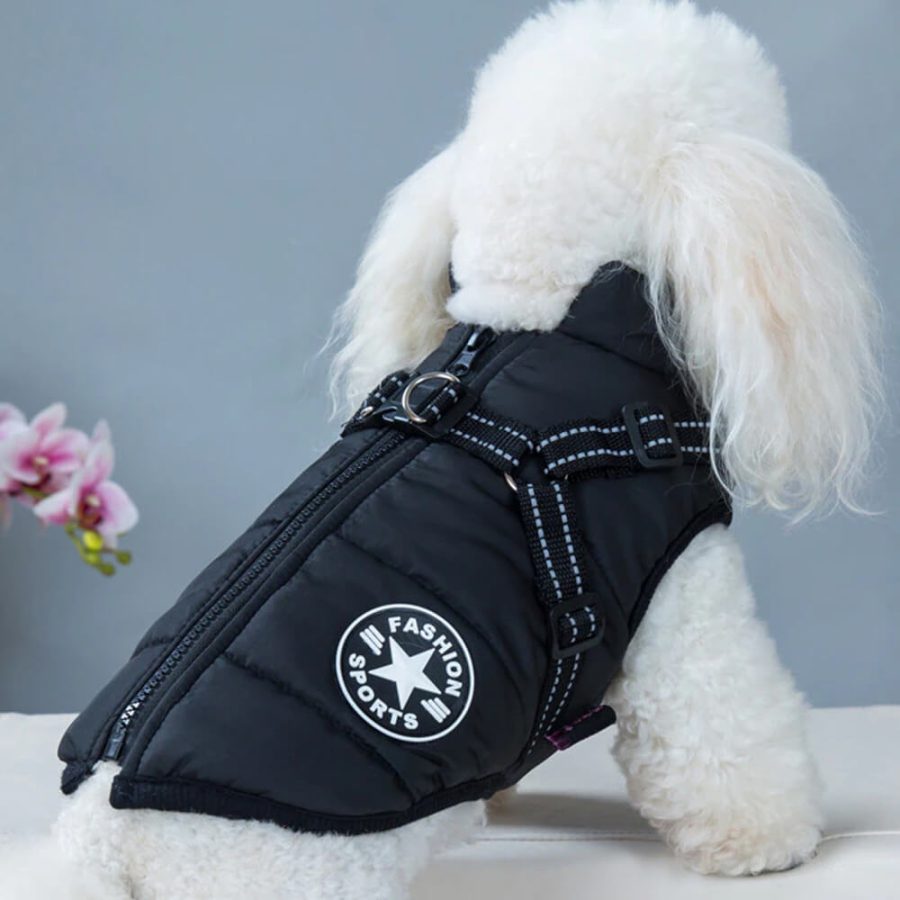 Waterproof Winter Dog Coat With Built-In Harness